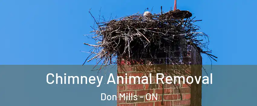  Chimney Animal Removal Don Mills - ON