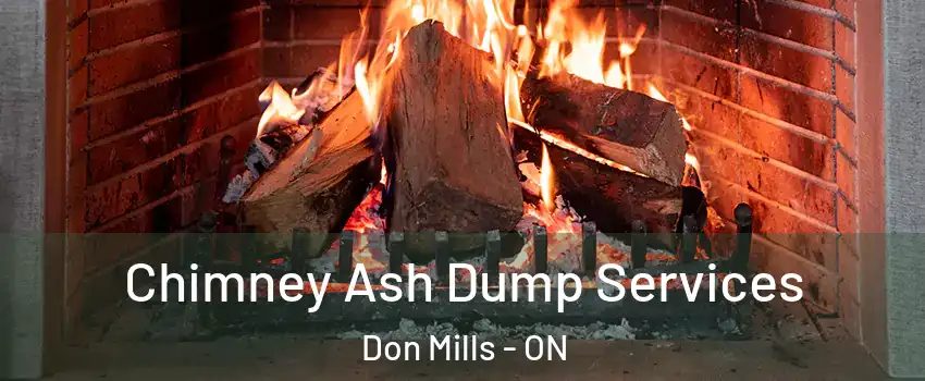  Chimney Ash Dump Services Don Mills - ON