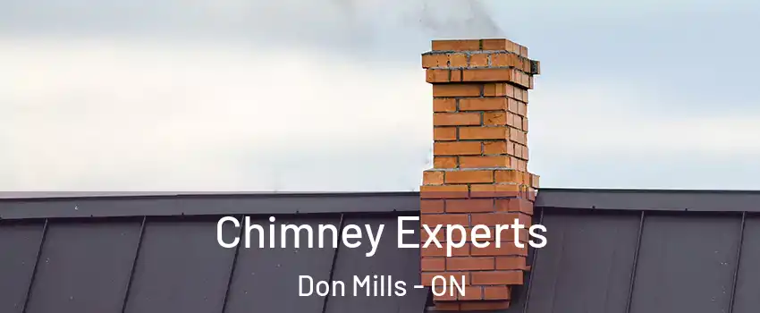  Chimney Experts Don Mills - ON