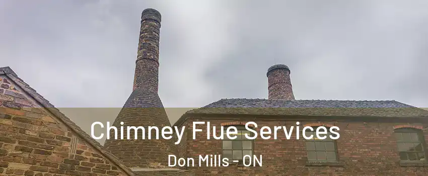  Chimney Flue Services Don Mills - ON