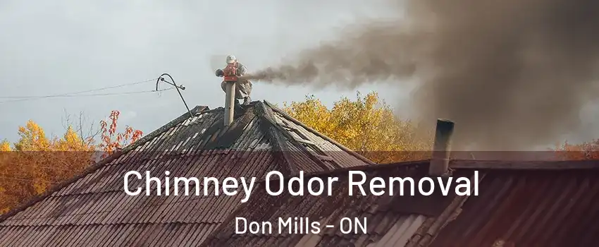  Chimney Odor Removal Don Mills - ON
