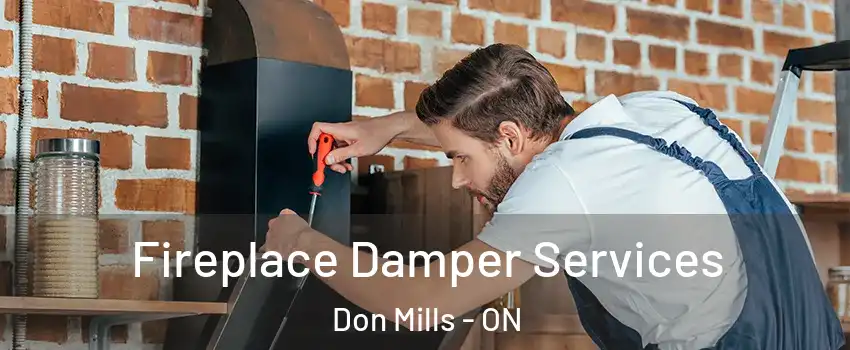  Fireplace Damper Services Don Mills - ON