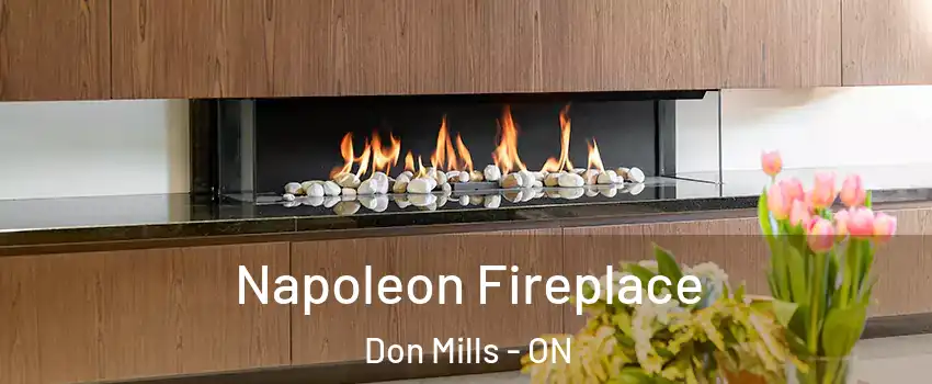  Napoleon Fireplace Don Mills - ON